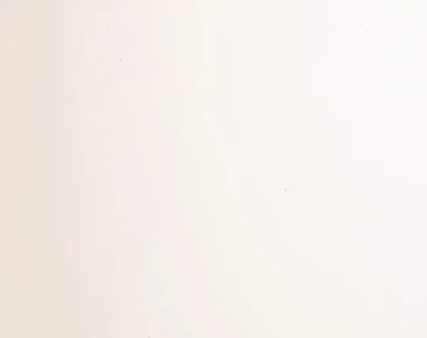 Bone White - KC Stone - A Natural Stone Company